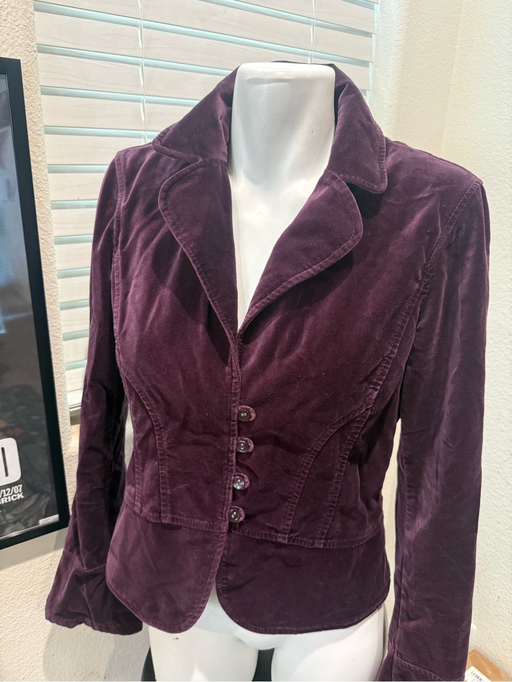 LOFT Deep Plum Velvet Tailored Blazer